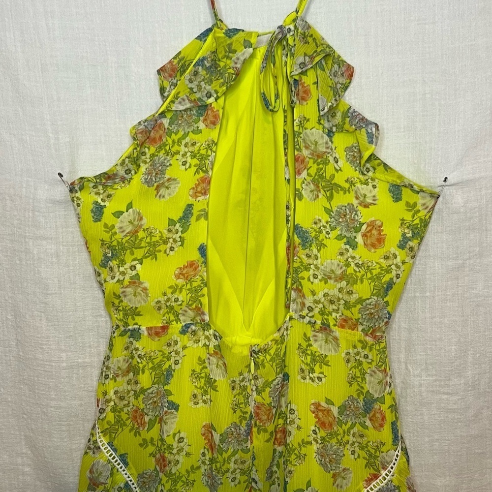 Marissa Webb dress Sz 0  Hourglass. Halter neckline. Sleeveless. Back zipper - Picture 6 of 10
